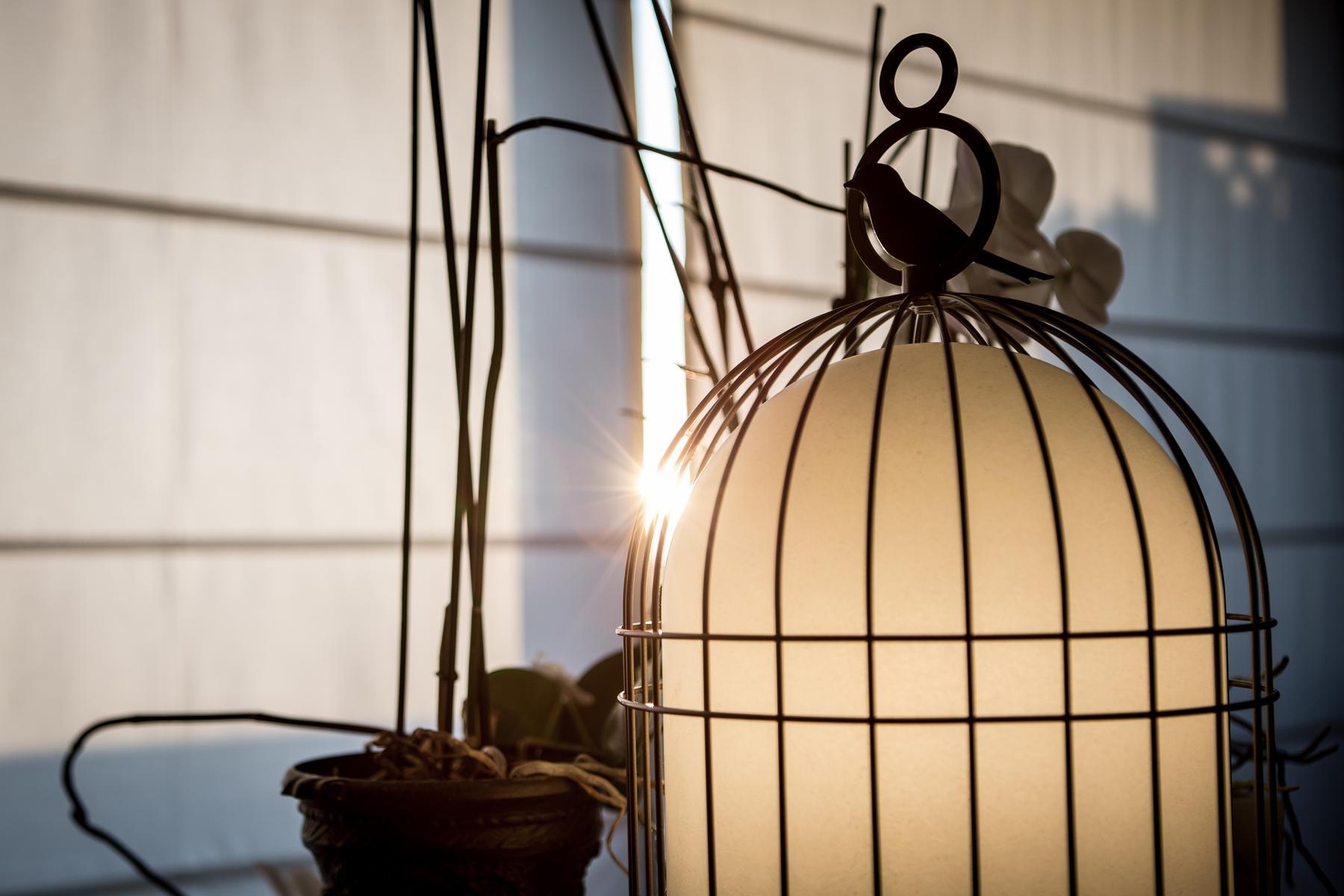 FREEDOM BATTERY + ACCESSORIES Outdoor lamp