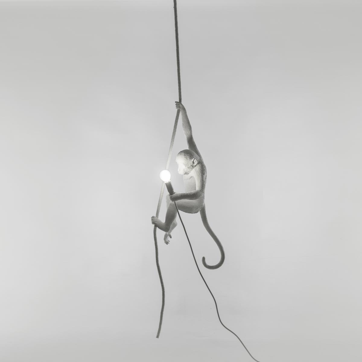 THE MONKEY LAMP CEILING LED resin pendant lamp