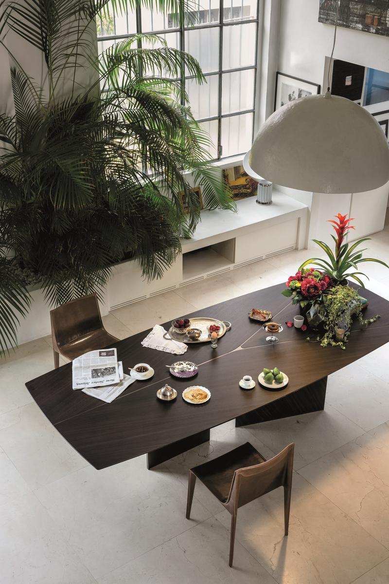 EPSILON Sucupira dining table