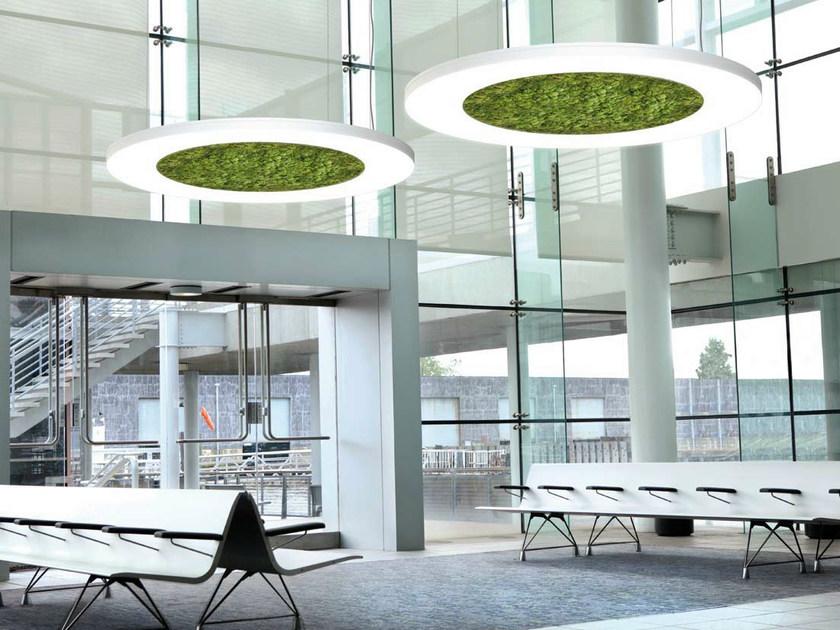 LUCE VERDE ANELLO Dried moss LED pendant lamp