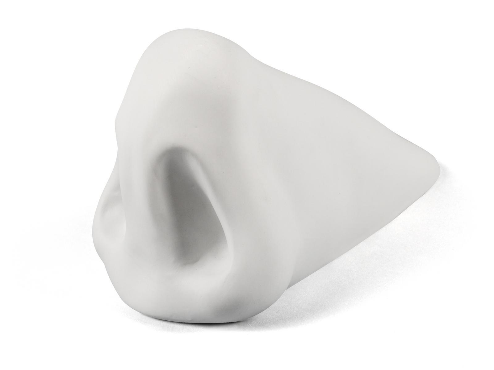 NOSE Porcelain decorative object