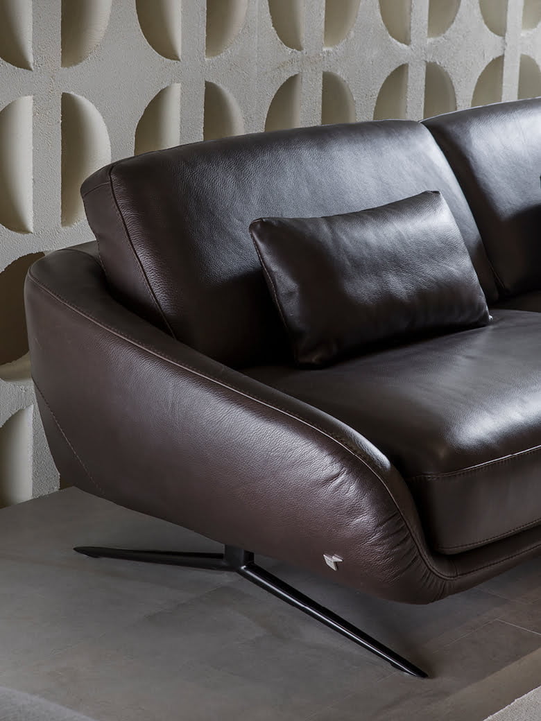 REGAL_E The 'Regal_e' is a versatile, modular sofa with adjustable backrests and electric leg-rests for high comfort, suitable for spacious interiors, and offers various upholstery and finish options.
