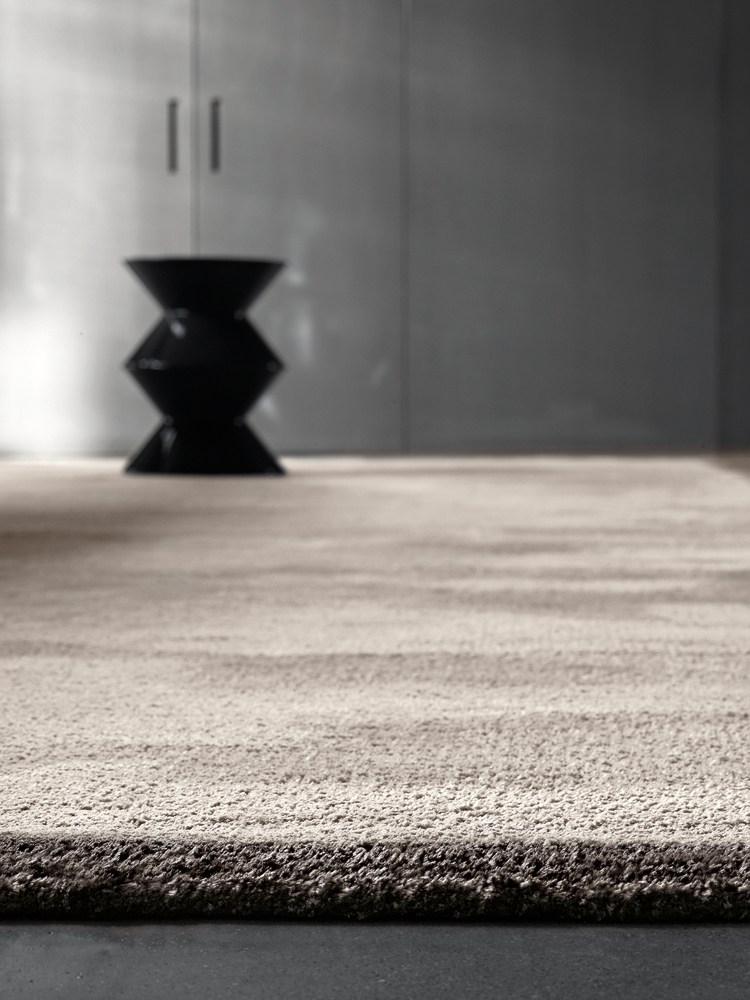 DIBBETS FRAME Rug