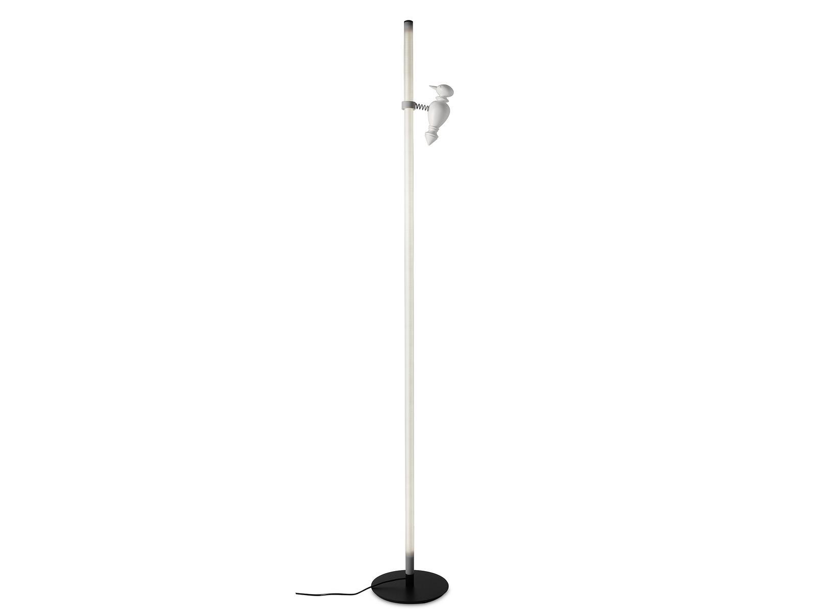 ACCIPICCHIO LED Pyrex® floor lamp