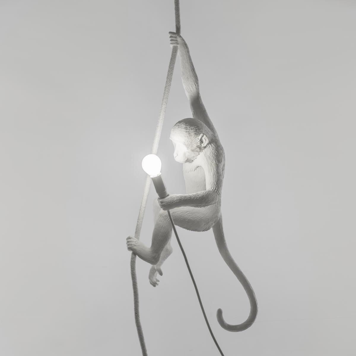 THE MONKEY LAMP CEILING LED resin pendant lamp