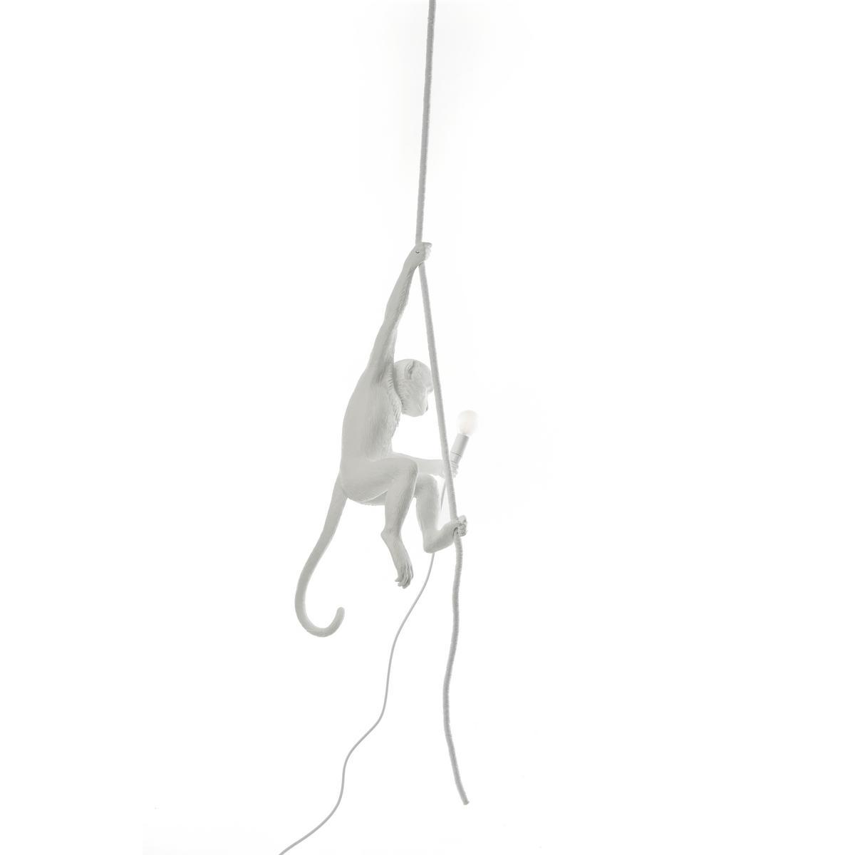 THE MONKEY LAMP CEILING LED resin pendant lamp