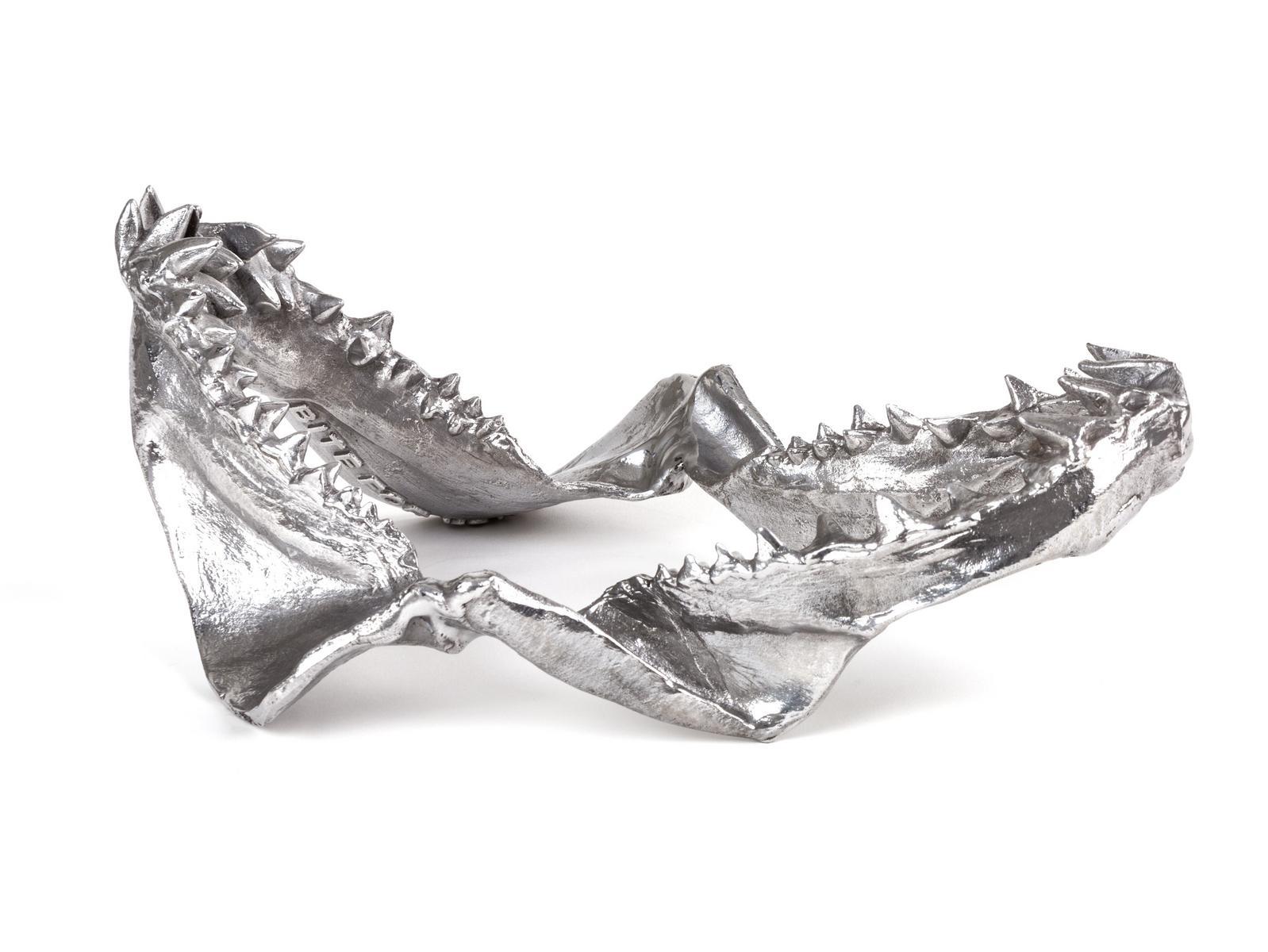 SHARK JAW Aluminium decorative object