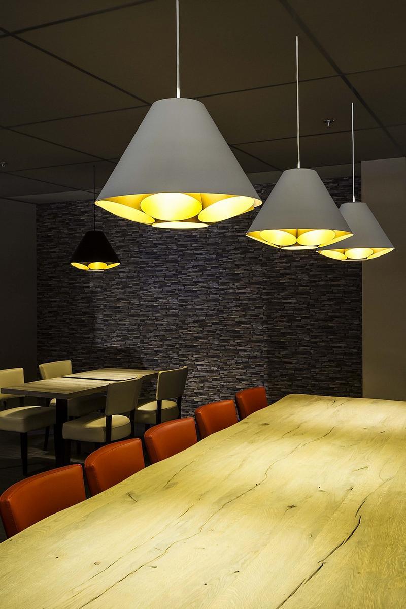 LGTM LED aluminium pendant lamp