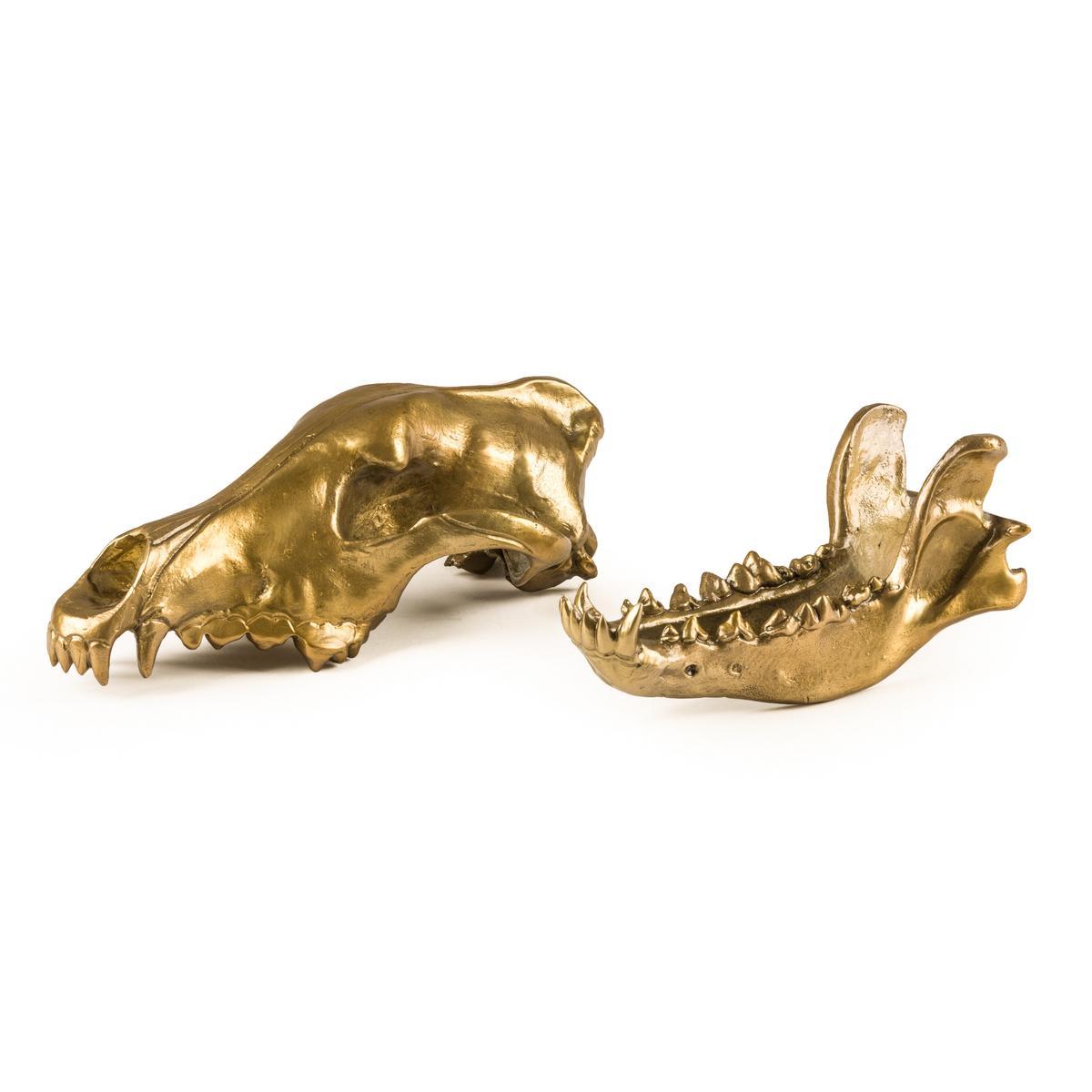 WOLF SKULL Aluminium decorative object
