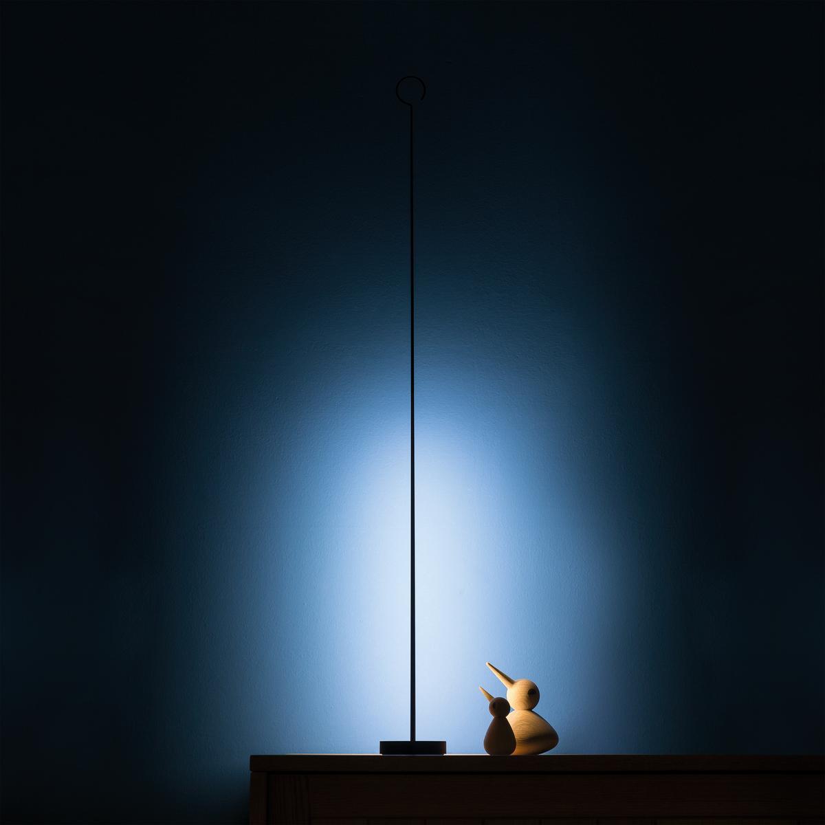 ANIMA Floor lamp