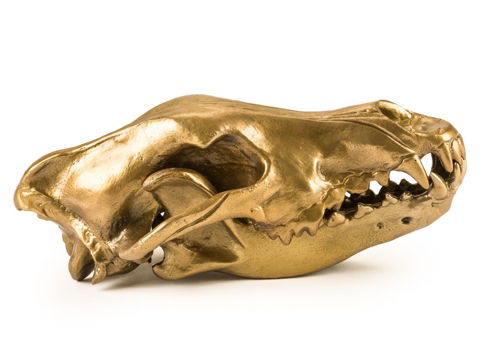 WOLF SKULL Aluminium decorative object