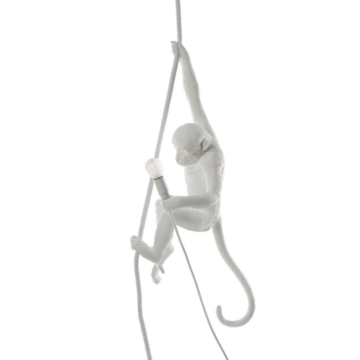THE MONKEY LAMP CEILING LED resin pendant lamp