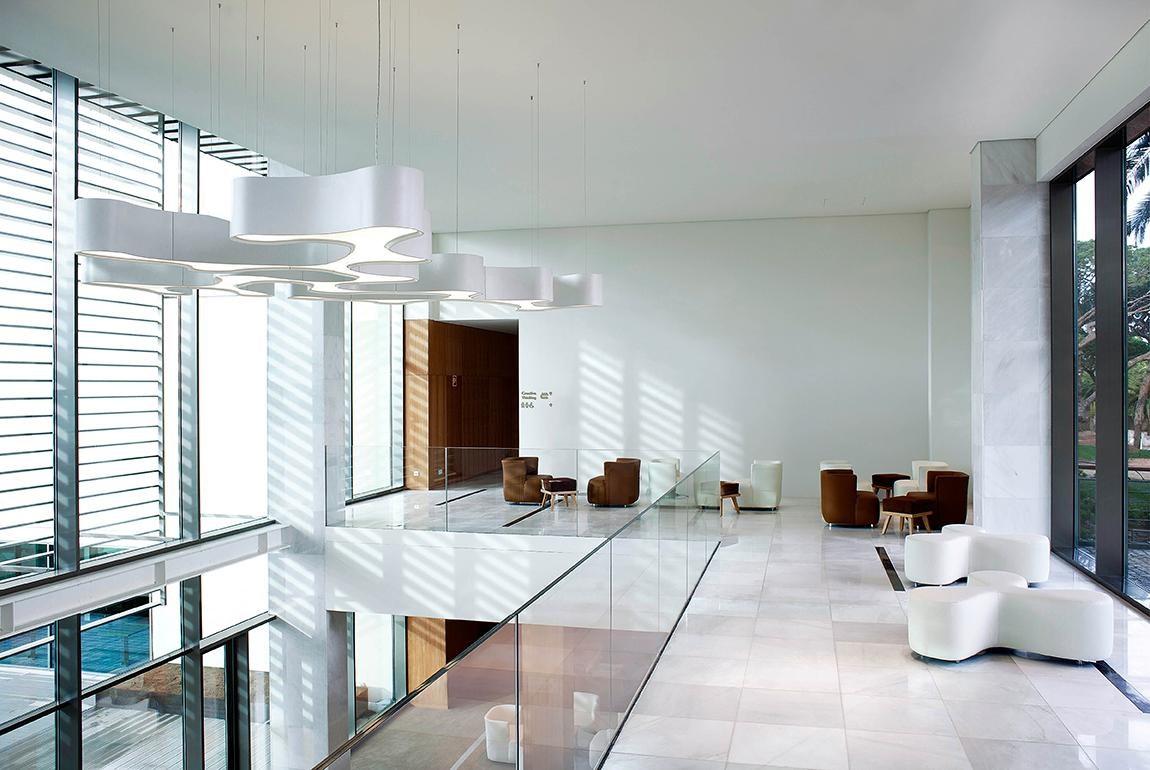 AMEBA Pendant lamp