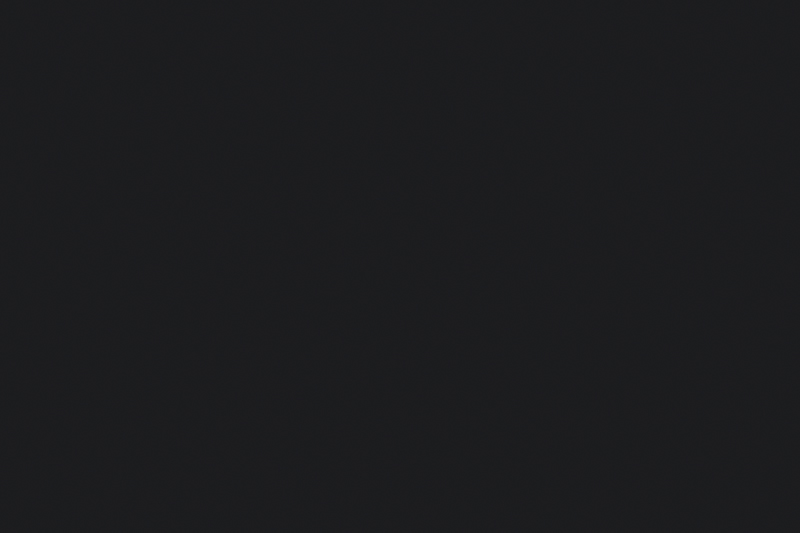 RAL 9005